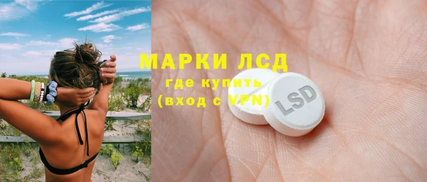 сатива Лабытнанги