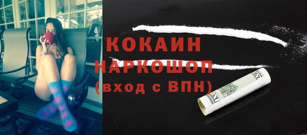 сатива Лабытнанги
