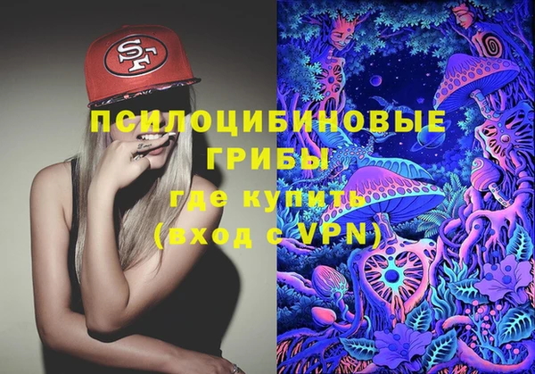 сатива Лабытнанги