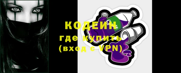 сатива Лабытнанги