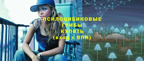 а пвп мука Ладушкин