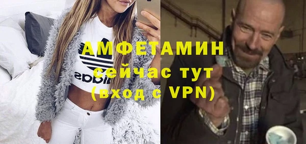 сатива Лабытнанги