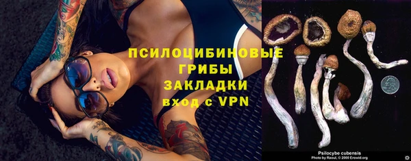 а пвп мука Ладушкин