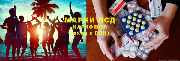 сатива Лабытнанги