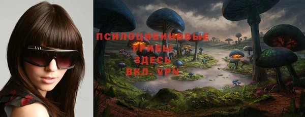 сатива Лабытнанги
