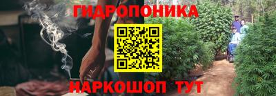 ECSTASY Абакан
