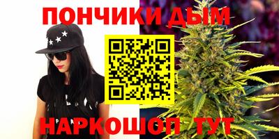 крисы Бийск