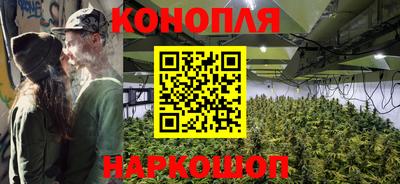 крисы Бийск