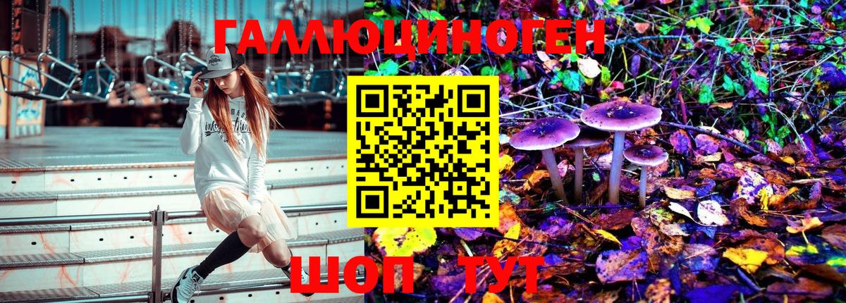 Псилоцибиновые грибы Cubensis  Галлюциногенные грибы Psilocybine cubensis  Добрянка 