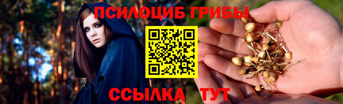 Добрянка  даркнет сайт  Вход с VPN  Галлюциногенные грибы Psilocybine cubensis 