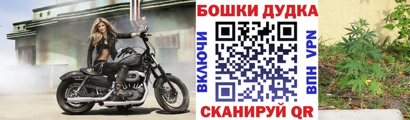 Канабис сатива  Добрянка 